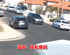 完了，蓝车长不高了