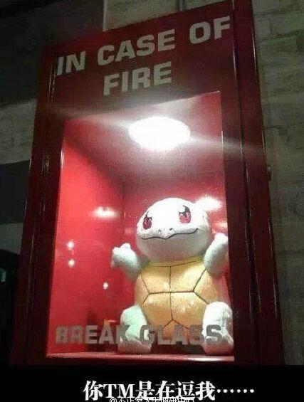 我需要拿精灵球砸吗？