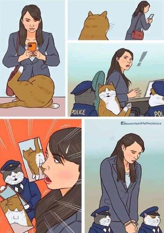 它可以骚，你不能扰