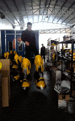 一定很练肌肉的