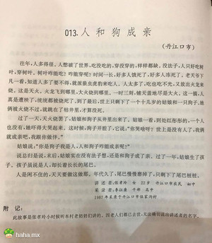 翻民间故事抓到一篇奇文《人和狗成亲》，好大的脑洞！