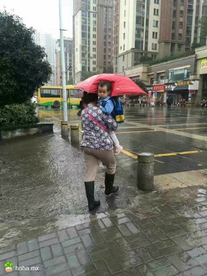 冷冷的冰雨在我后脑勺胡乱的拍！