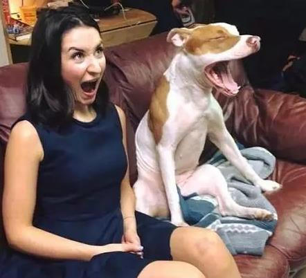 两个逗比，这是谁模仿谁？