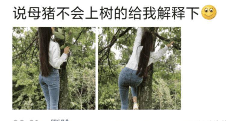 说母猪不会上树的，请出来解释下”哈哈哈还不赶紧接着点？好好的妹子干嘛要爬树呢，把人家妹子称作是母猪还是有点过分了，你见过有这么苗条的母猪？