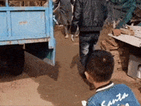 这是人在家中坐，祸从天上来啊