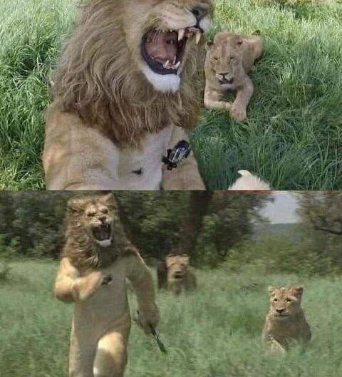 不行，现在就要！！！