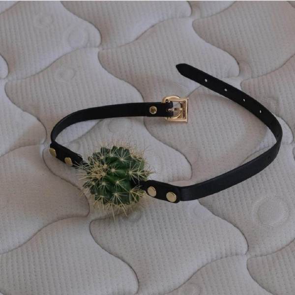 常常因为不够变态而与你们格格不入