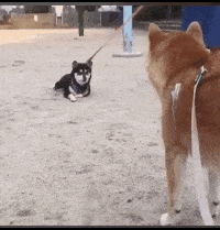 其实不是这样的