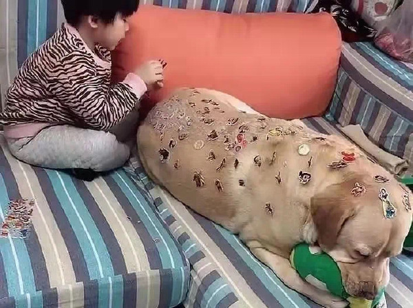 为这个家承受了太多