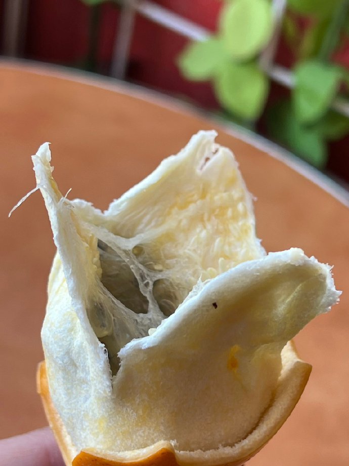 百香果打开里面~~~这画面很眼熟呢