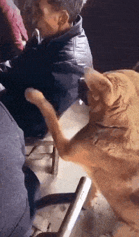 这个习俗在哪里?