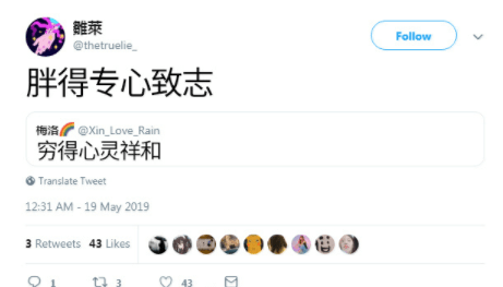 几个字总结了我现在的状态
