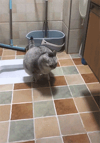 有没有土无所谓，祖传手艺不能丢