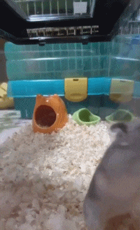 独木舟真的很难驾驭