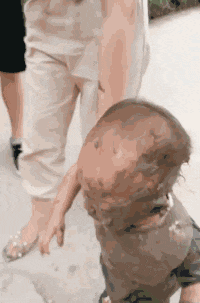 三天不打上房揭瓦系列