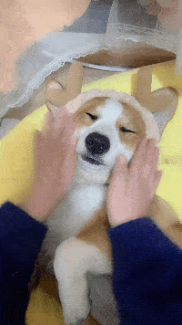 我也想试一试了