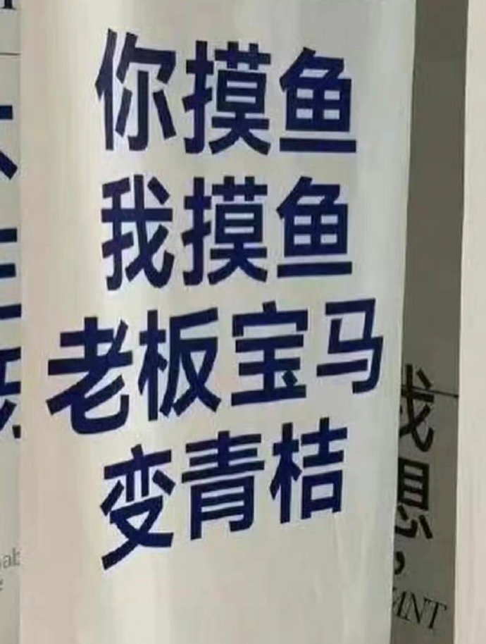 上班不摸鱼，脑子有问题