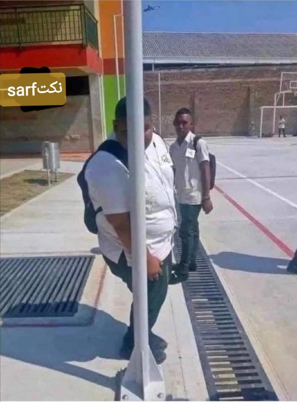 掩耳盗铃一个意思