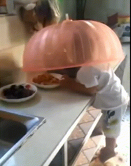 吃饭时看电视，饿了又在厨房吃东西，这样的习惯要改。哈哈哈