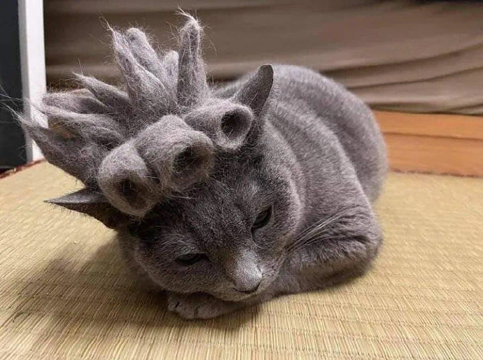 包租婆，怎么停水了？