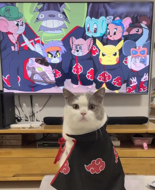 这怎么跟我看的火影忍者不一样啊