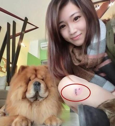 你们干了什么坏事？