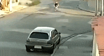 汪星人:看你这么匆忙开啤酒我受不了