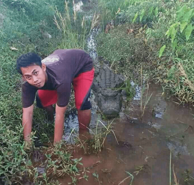 人一趟，布一盖，全村就等着上菜