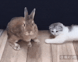 哎玛这小姿势,太风骚了……