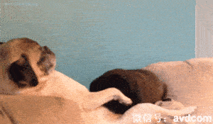 看什么看啊，没见过吗