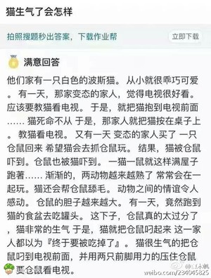 结局简直有猫病！
