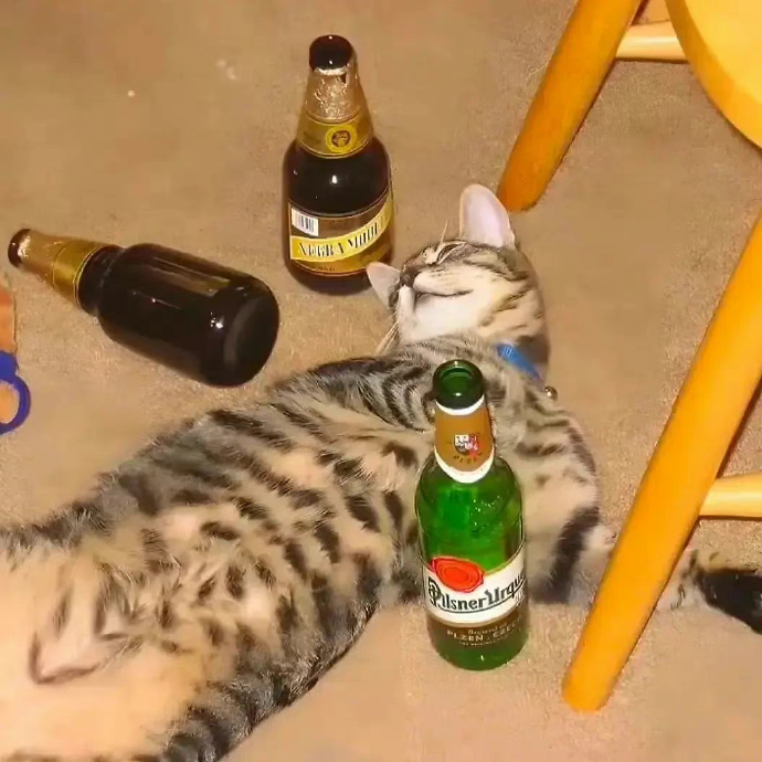 醉生梦死又一世