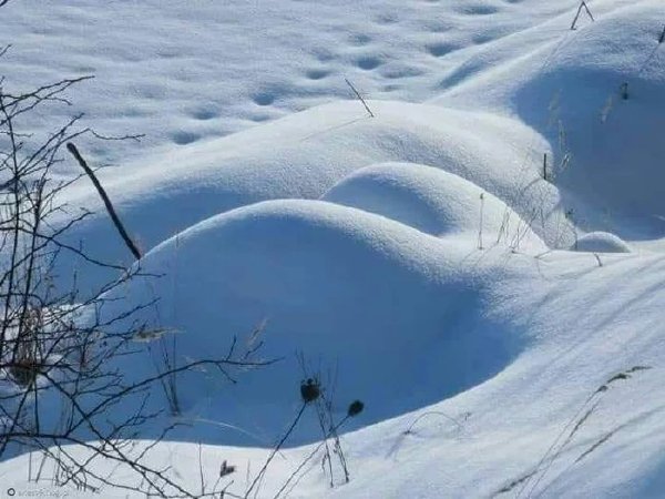 啊这美丽的大自然