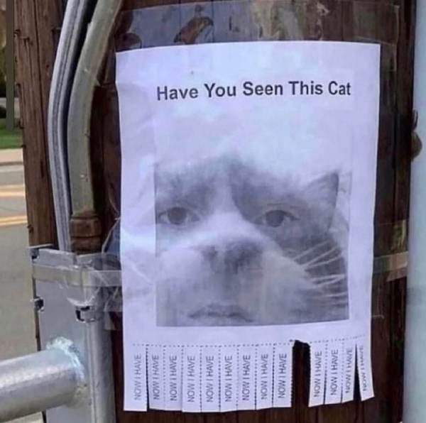 这感觉有点抽象呀