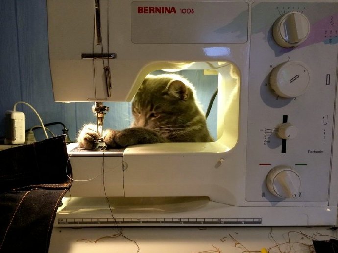 喵喵手中线，鼠鼠身上衣