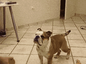 看得出来，真的很拼