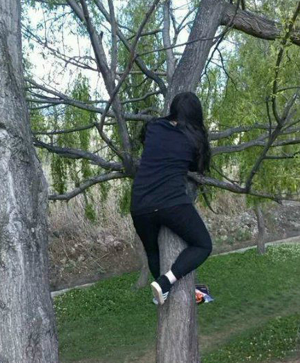 妹子，你是树袋熊么？