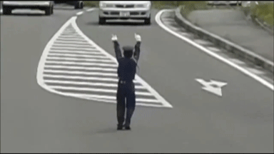 蜀黍你这样我不知道怎么开车