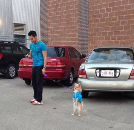 好卡哇伊的小狗