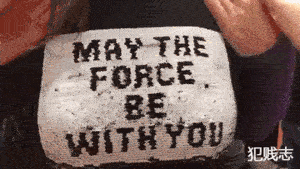 秦始皇焚书坑儒,我今儿挖坑埋鸭