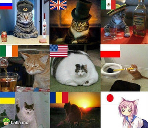 日本这个妖艳货，请联系我！