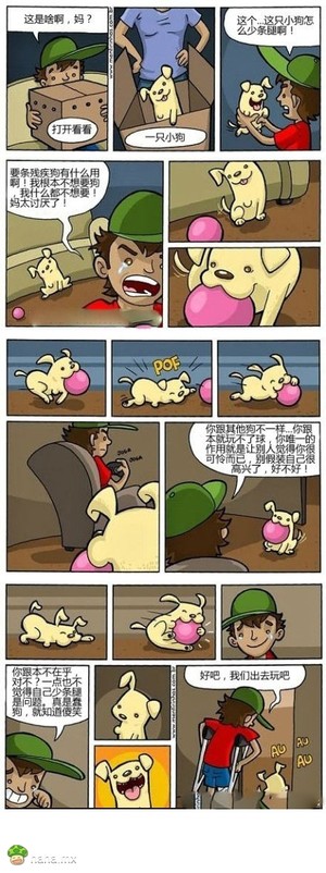 少了一条腿的狗狗,你还会爱吗?