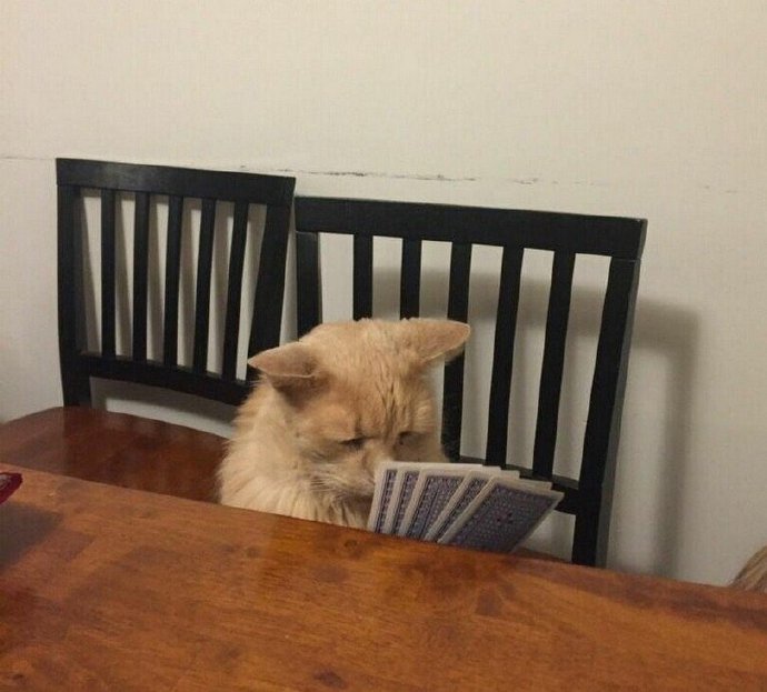 这牌看着老愁人了