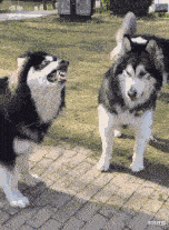 看来你这也就是嘴硬啊