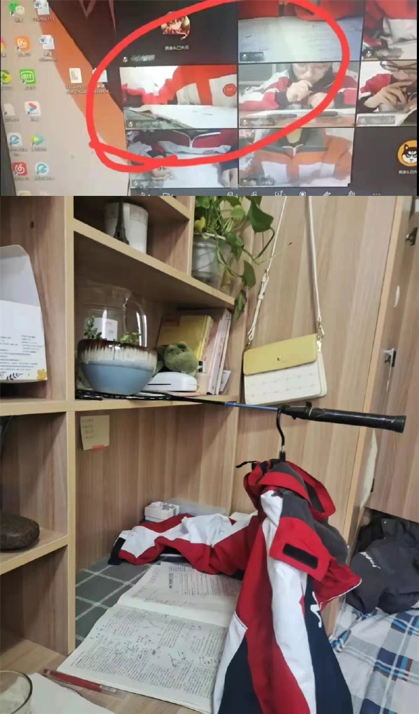 真实个小机灵鬼