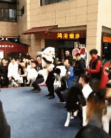 这是一场单身狗与单身狗之间的安慰比赛，场上的几位哥们都是有故事的人啊