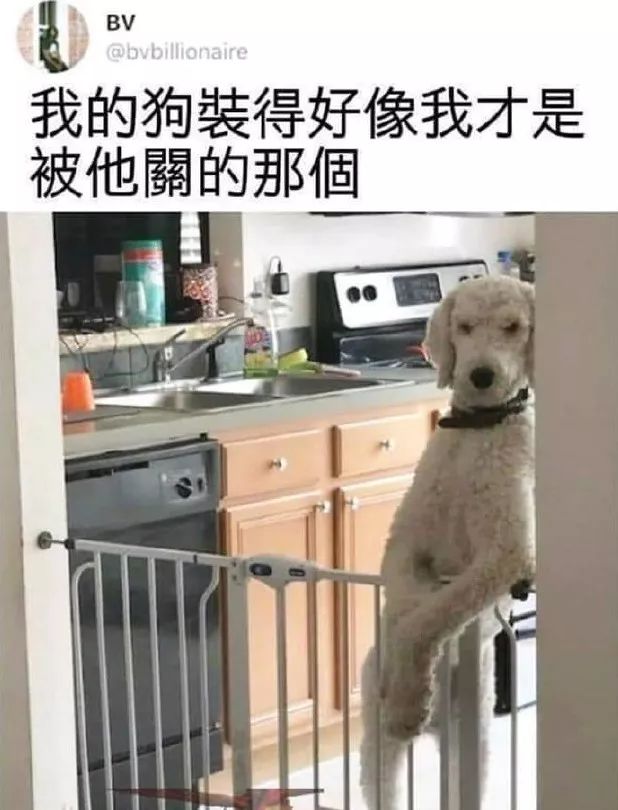 姿势一定要摆好