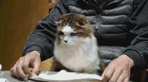 什么叫讲究，这就叫讲究！