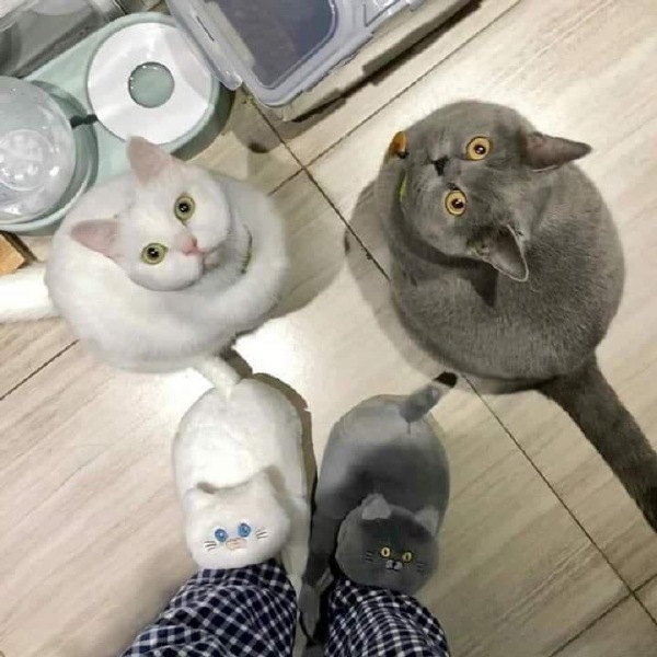 你tm我问你你脚上穿的是什么？