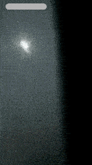 这卫生检查不过关啊，这么多老鼠真的没问题吗？？